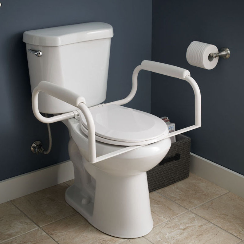 Delta Toilet Safety Bar & Reviews Wayfair